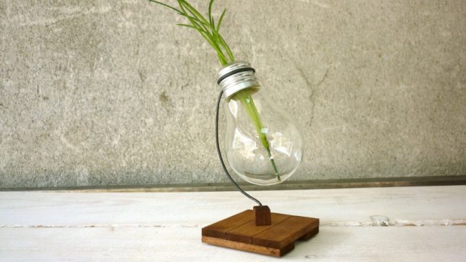 Une ampoule avec plante à l'intérieur